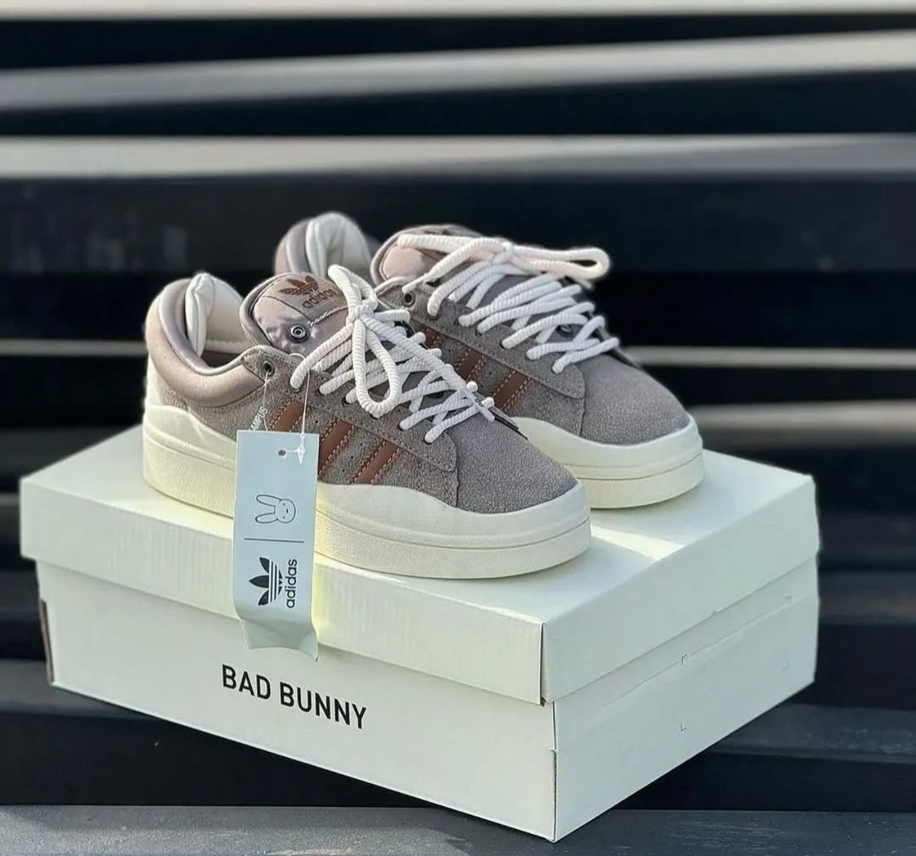 Adida campus bab bunny